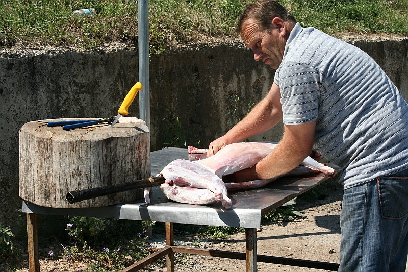 Albania 2008 032